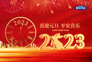 凝心聚力共奋进，砥砺前行续辉煌