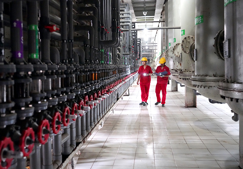 【邯郸日报】“盐碱地”崛起“人才绿洲”——晨光生物“引育留用”赋能高质量发展